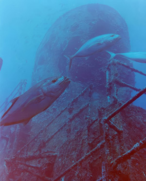 The Duane wreck at 100 ft. in the Florida Keys